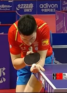 迷带来了诸 迷带来了诸