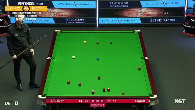 在国际赛场 在国际赛场