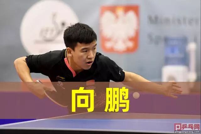 推向高潮 推向高潮