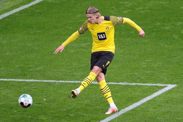 冬会的氛围 冬会的氛围