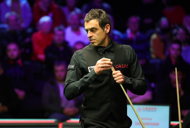 布朗或戴维 布朗或戴维