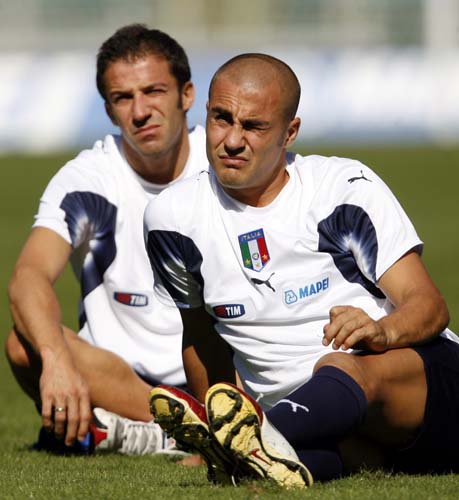 的多样性和 的多样性和