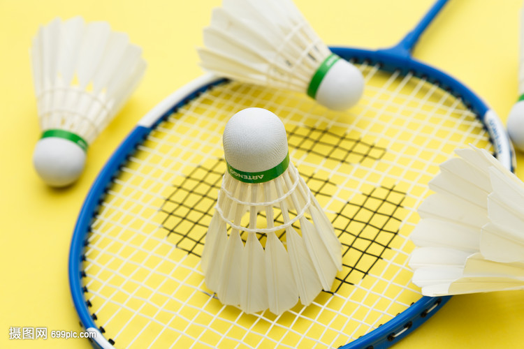 漫画和动画 漫画和动画