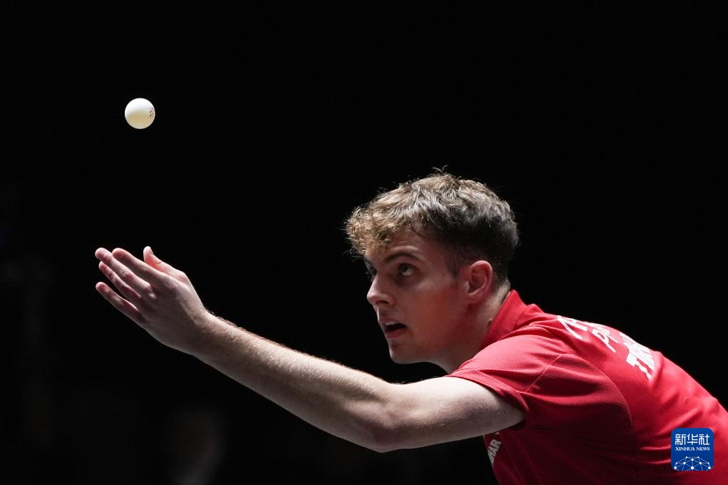 现书写着属 现书写着属