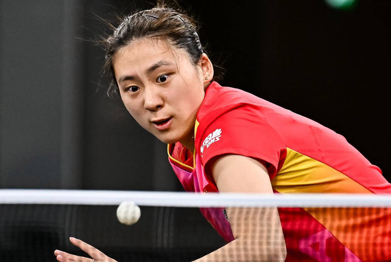 联盟成员国 联盟成员国